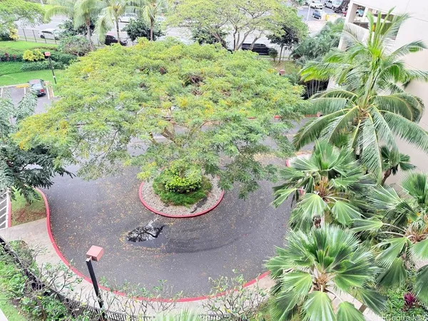 a view of a plant in a garden