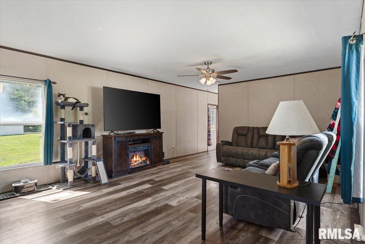 421 West Monroe Street Girard, IL 62640 - Photo 3 of 36
