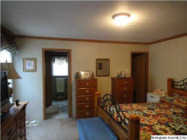 98 Ernest Road Wedowee, AL 36278 - Photo 4 of 17