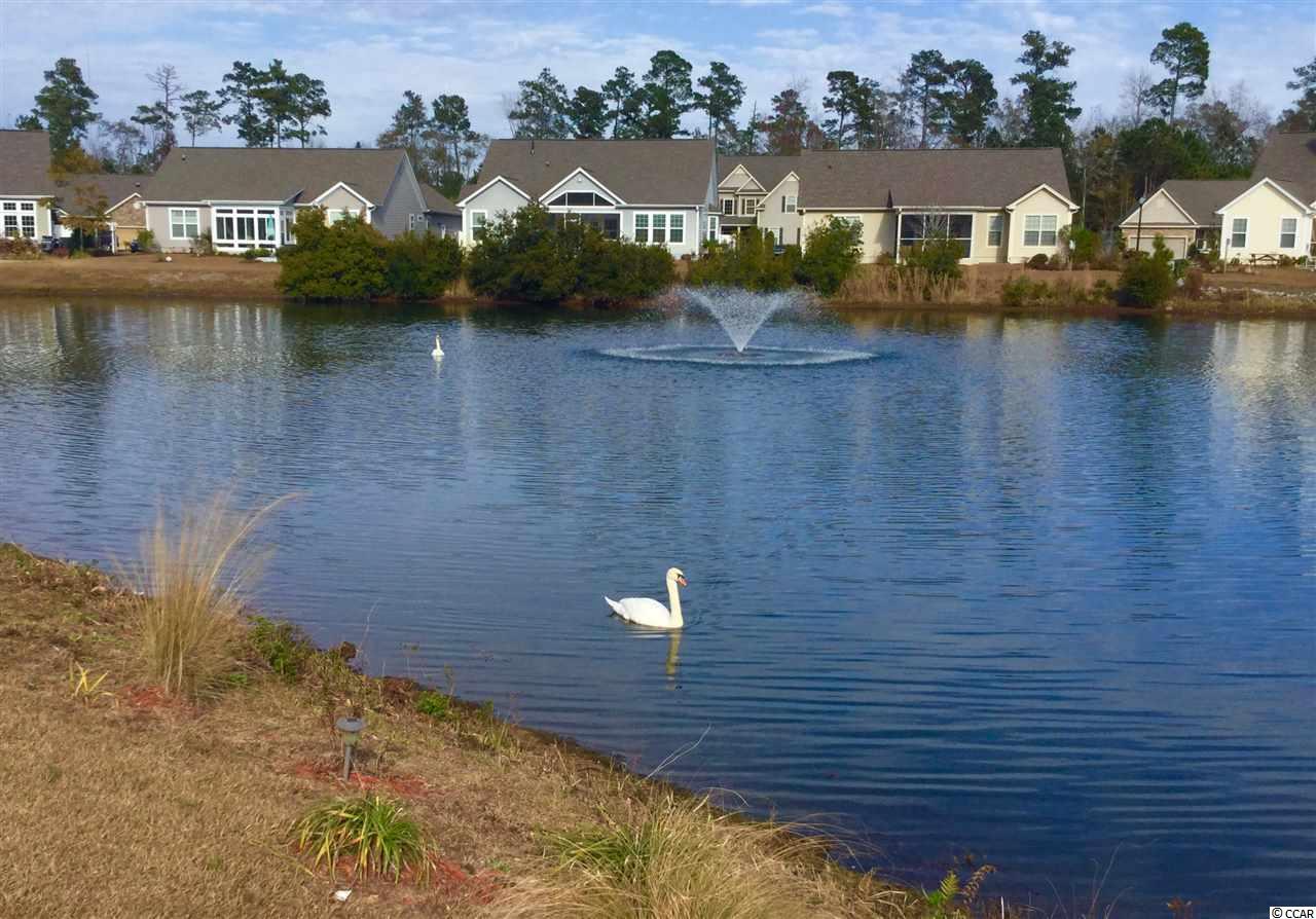 185 Summerlight Drive Murrells Inlet, SC 29576 - Photo 19 of 25 Gallery Image 19