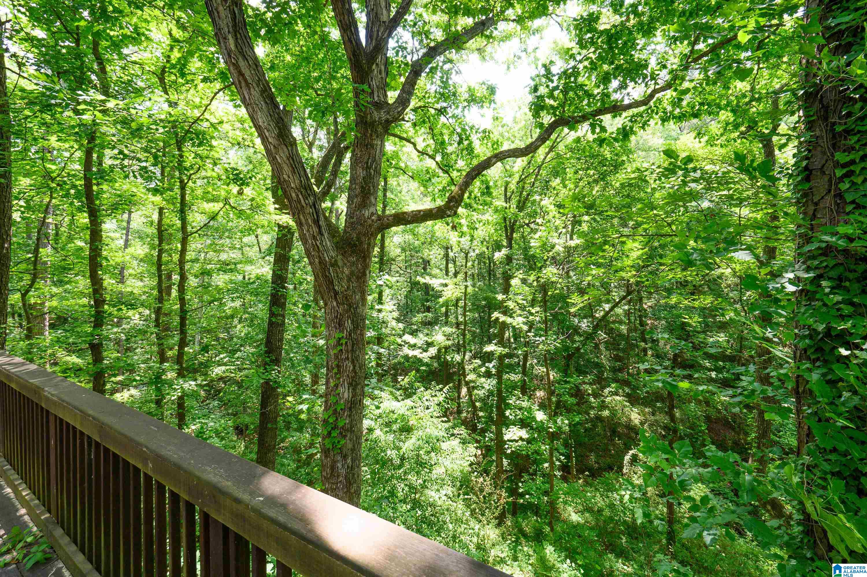 2153 Partridge Berry Road Birmingham, AL 35244 - Photo 56 of 60 Gallery Image 56