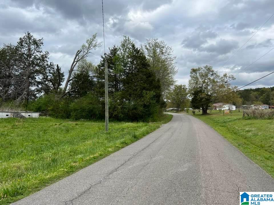 650 Peaceful Valley Road Eastaboga, AL 36260 - Photo 1 of 5