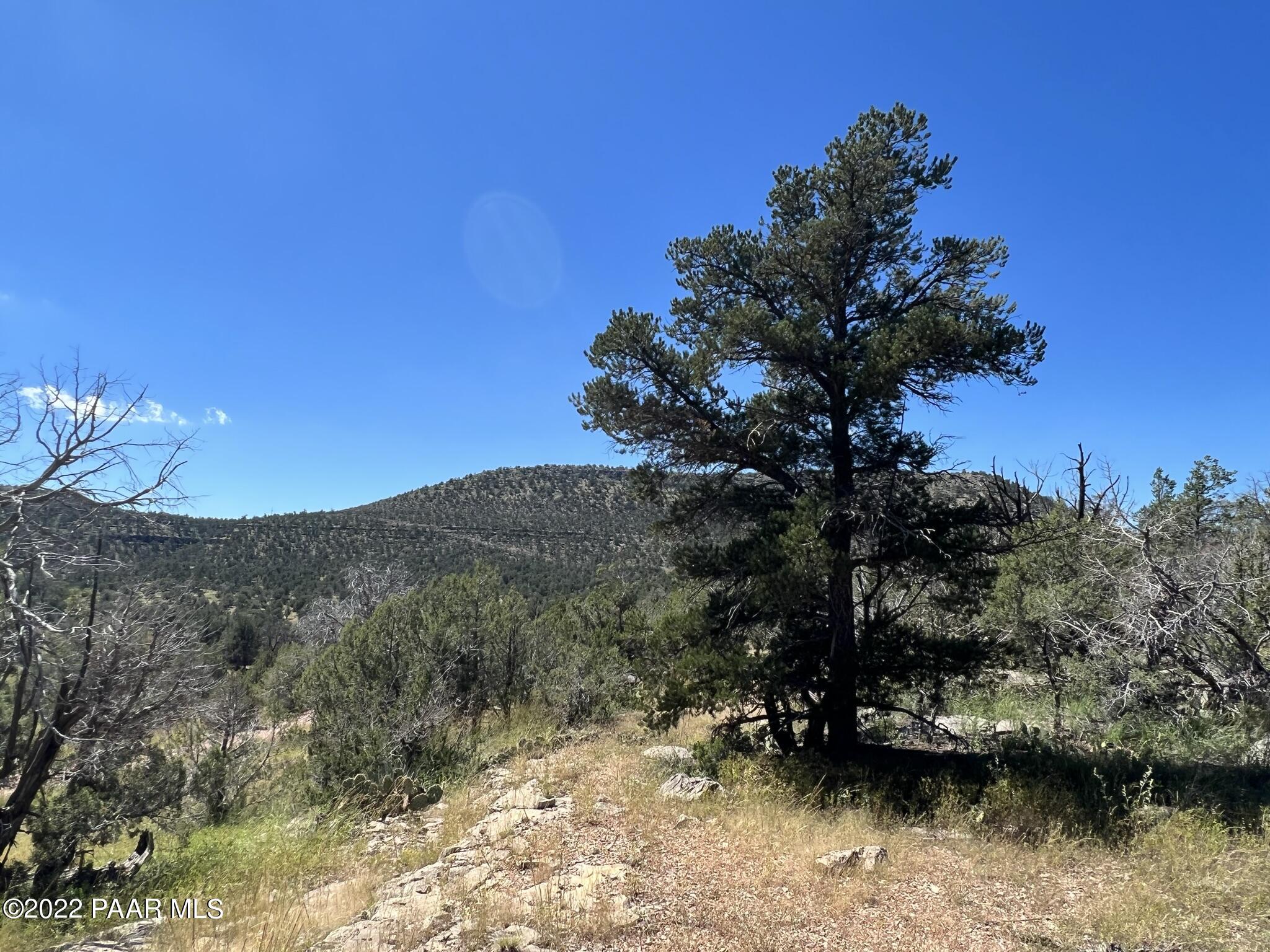 282- Arizona Road Ash Fork, AZ 86320 - Photo 1 of 13 IMG_1663