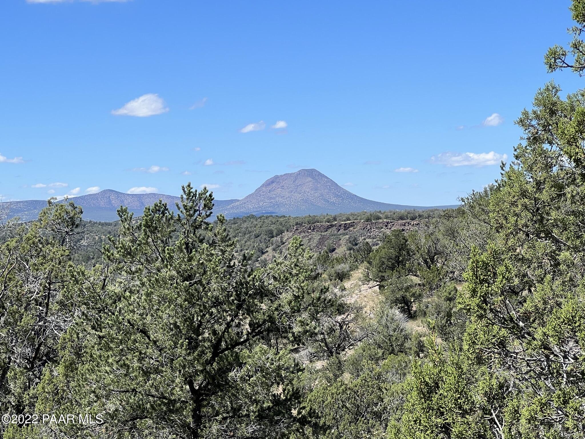 282- Arizona Road Ash Fork, AZ 86320 - Photo 11 of 13 IMG_1673