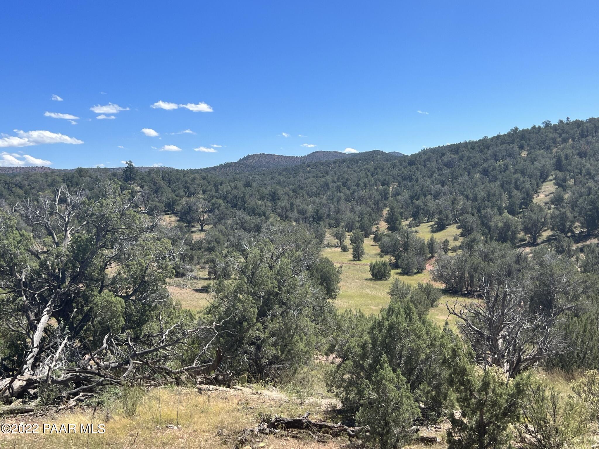 282- Arizona Road Ash Fork, AZ 86320 - Photo 13 of 13 IMG_1675