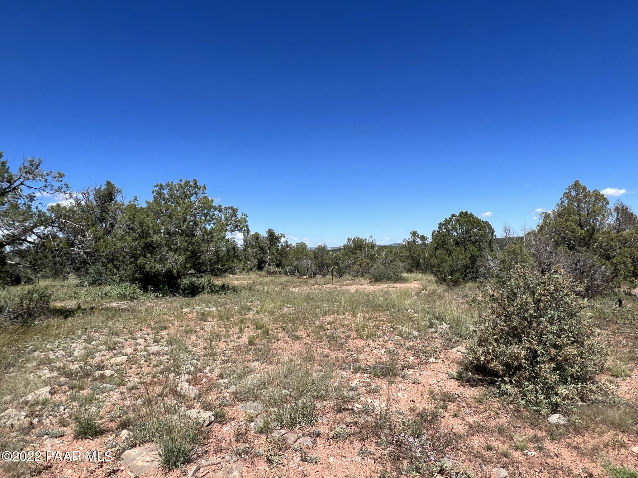 282- Arizona Road Ash Fork, AZ 86320 - Photo 3 of 13 IMG_1665