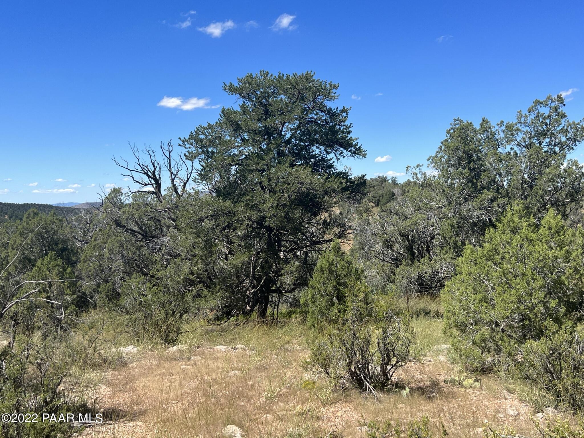 282- Arizona Road Ash Fork, AZ 86320 - Photo 4 of 13 IMG_1666