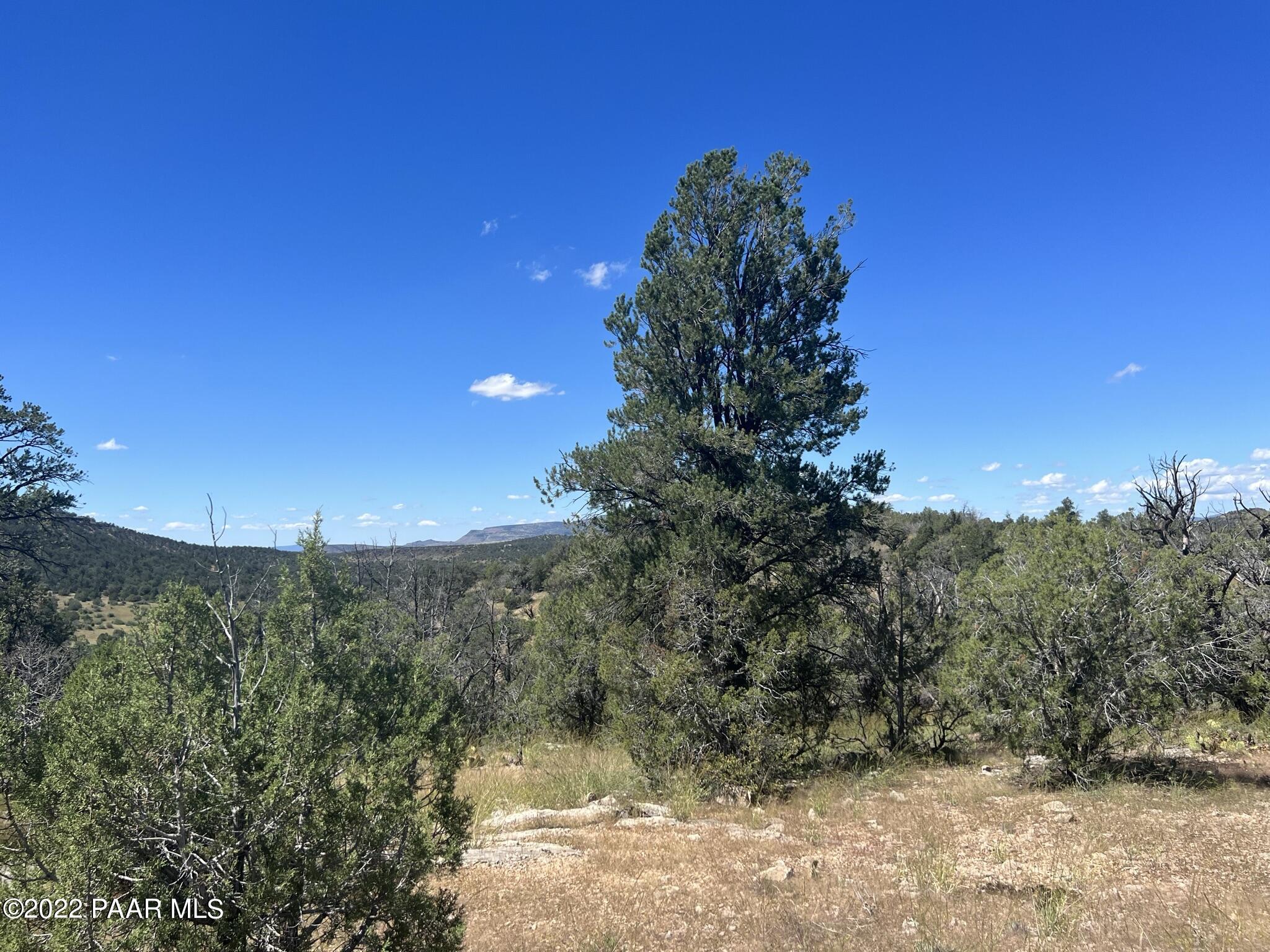 282- Arizona Road Ash Fork, AZ 86320 - Photo 5 of 13 IMG_1667