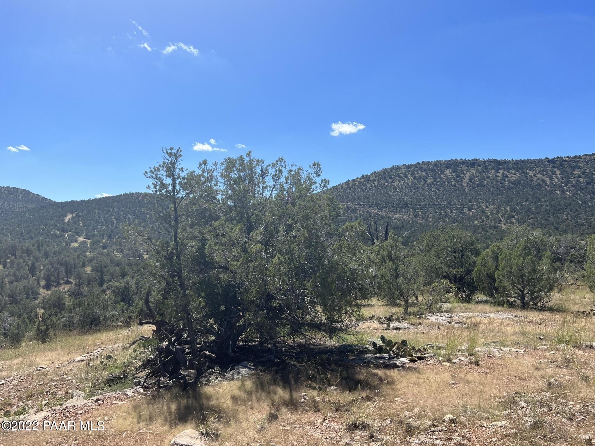 282- Arizona Road Ash Fork, AZ 86320 - Photo 7 of 13 IMG_1669
