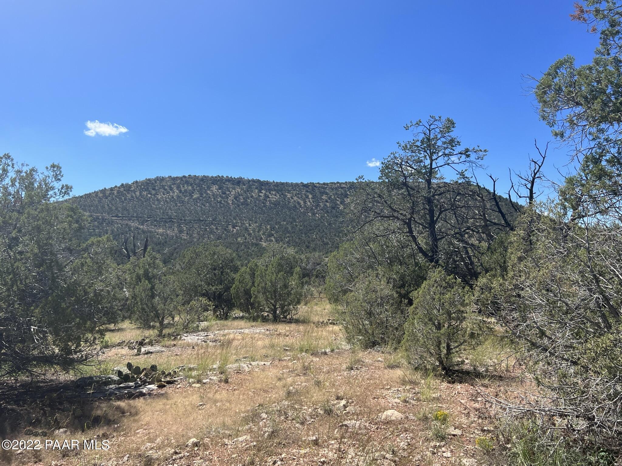 282- Arizona Road Ash Fork, AZ 86320 - Photo 8 of 13 IMG_1670