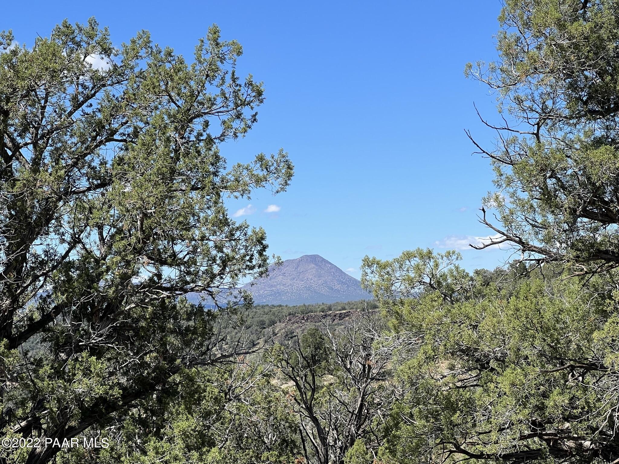 282- Arizona Road Ash Fork, AZ 86320 - Photo 10 of 13 IMG_1672