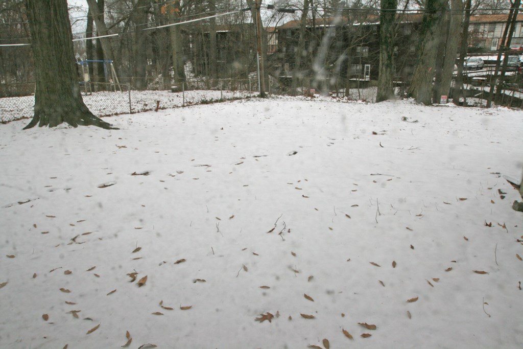 283 Forgham Road Greece, NY 14616 - Photo 12 of 12