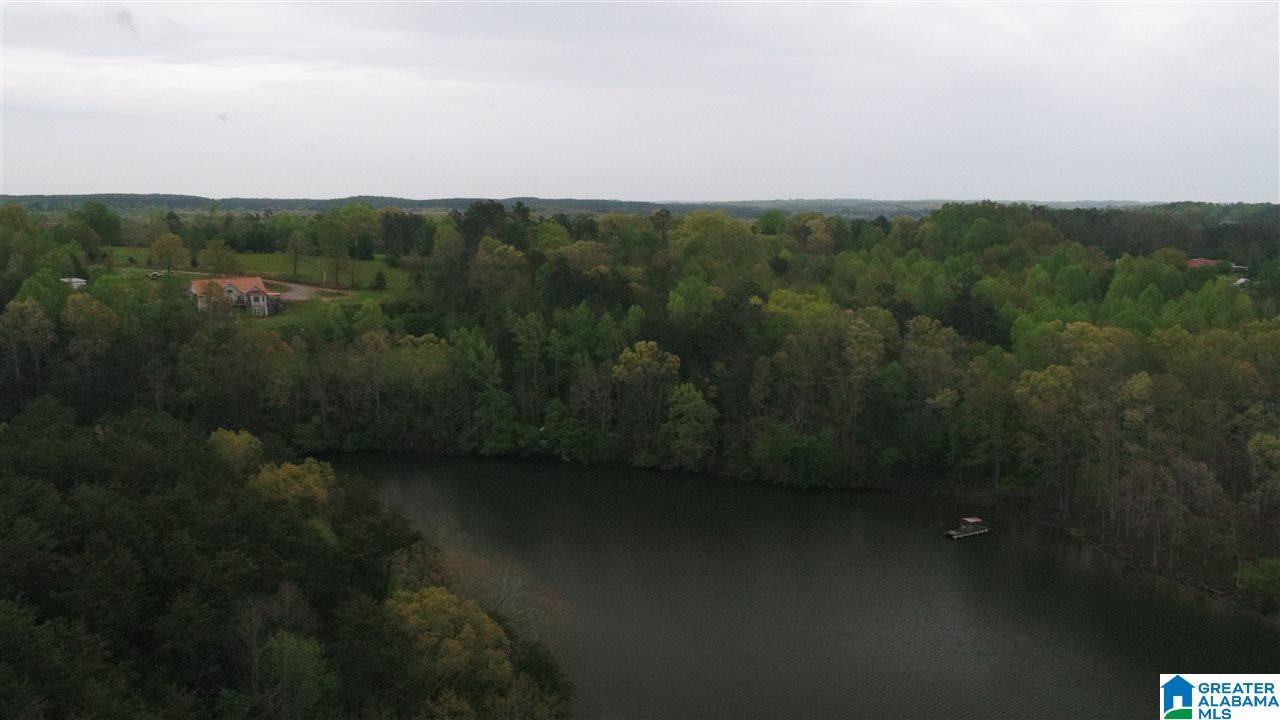 0 Dime Road, Unit 1 20 Haleyville, AL 35565 - Photo 4 of 14