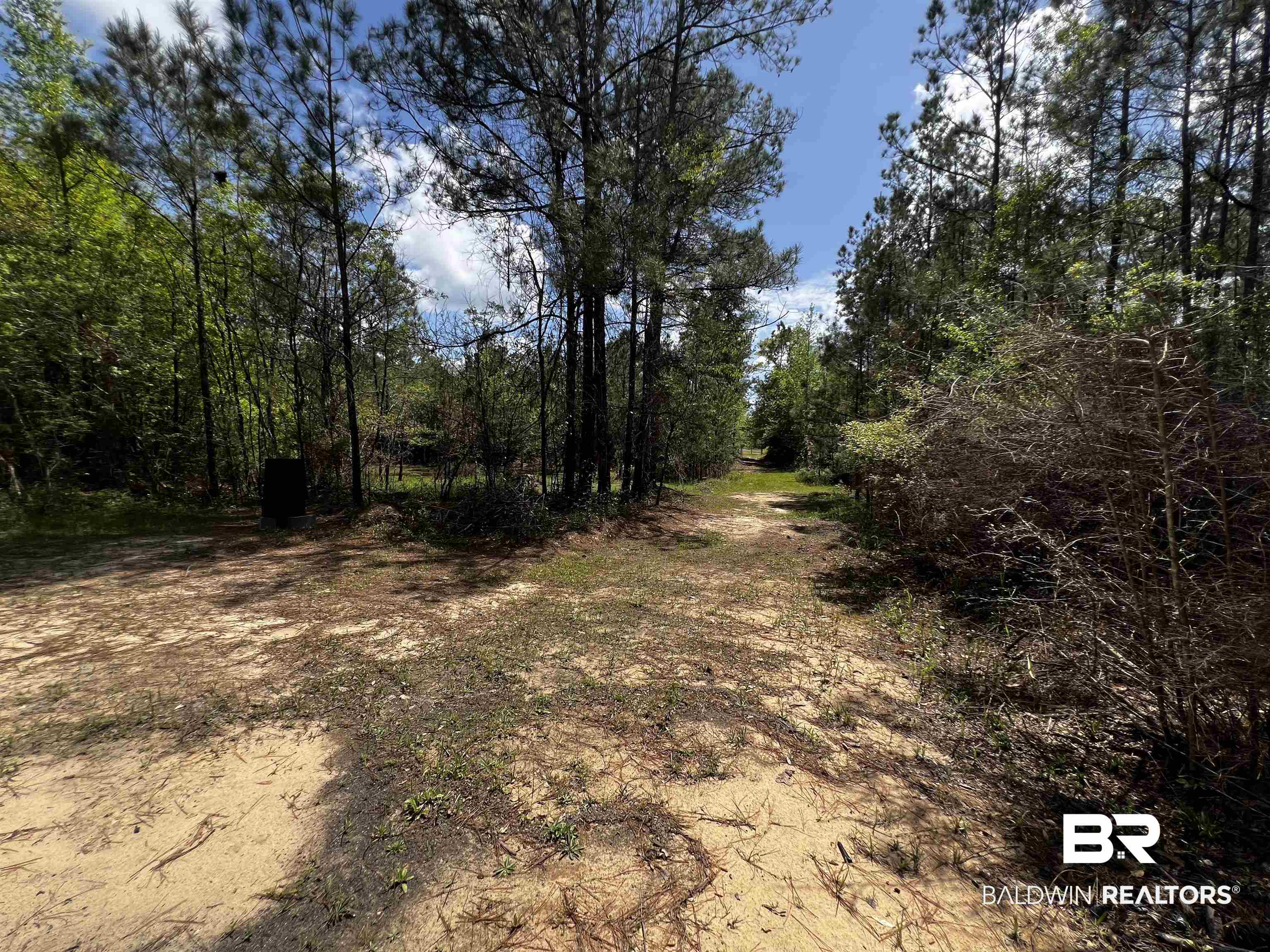 0 Salco Road Axis, AL 36505 - Photo 18 of 24 View of street featuring a forest view