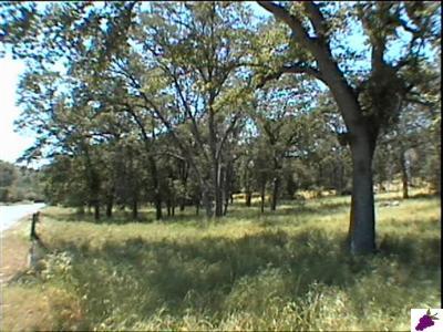 0 Lot 705 Chuckwagon Road Squaw Valley, CA 93675 - Photo 4 of 8 Gallery Image 4