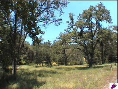 0 Lot 705 Chuckwagon Road Squaw Valley, CA 93675 - Photo 5 of 8 Gallery Image 5