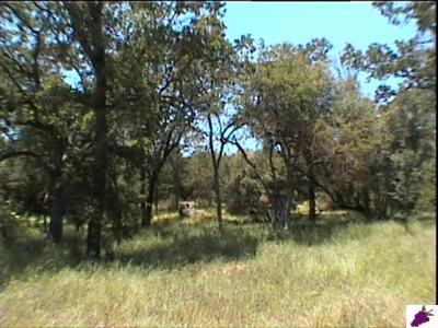 0 Lot 705 Chuckwagon Road Squaw Valley, CA 93675 - Photo 6 of 8 Gallery Image 6