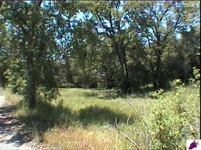 0 Lot 705 Chuckwagon Road Squaw Valley, CA 93675 - Photo 7 of 8 Gallery Image 7