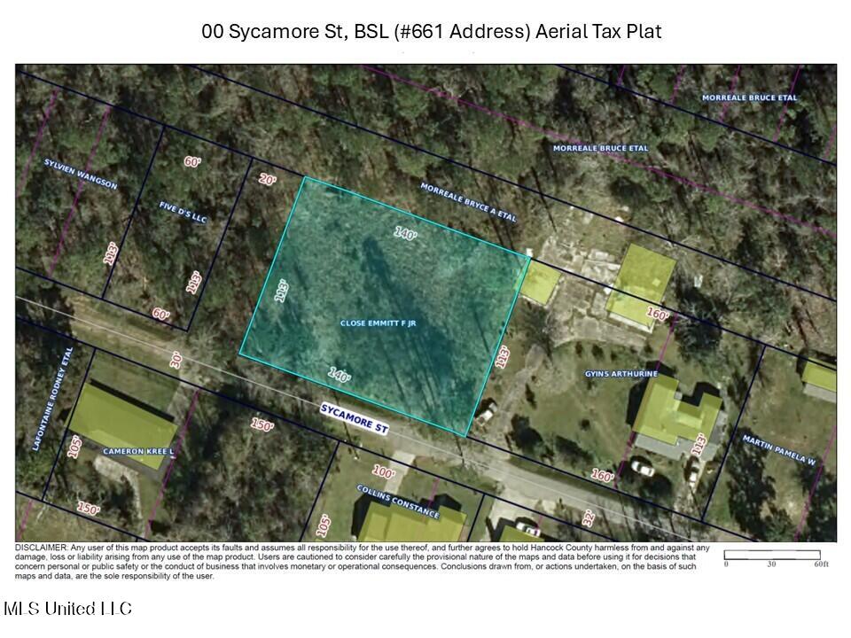 Aerial Tax Plat_00 Sycamore St