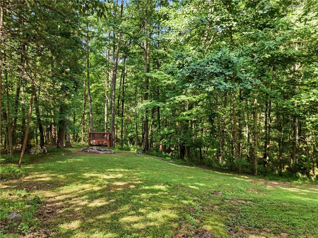 98 Maple Ridge Road Dahlonega, GA 30533 - Photo 50 of 51