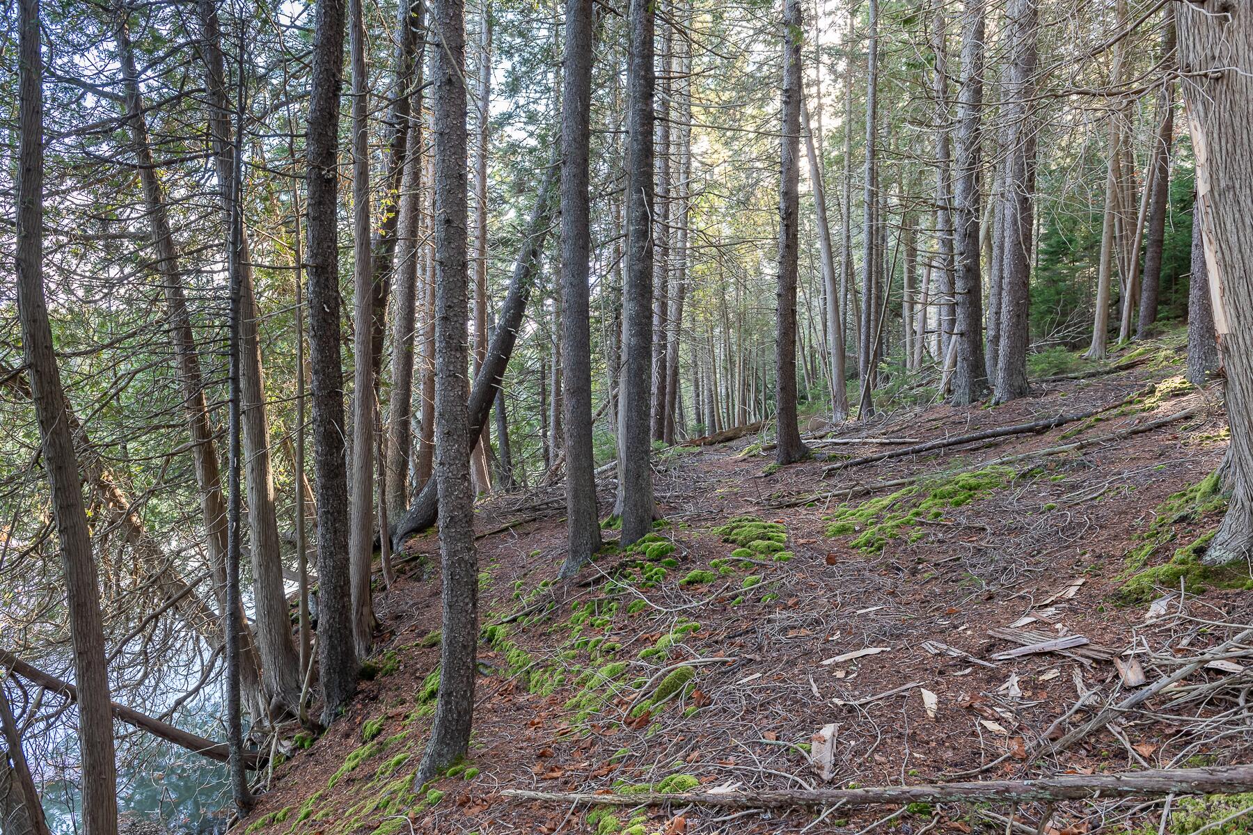 0 Bayview Road Orrs Island, ME 04066 - Photo 22 of 23 DSC_1869-HDR