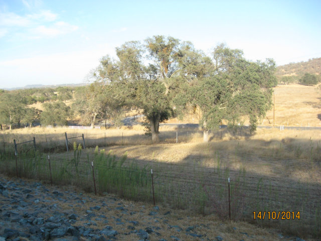 7142 South Burson Road Valley Springs, CA 95252 - Photo 4 of 16 Gallery Image 4
