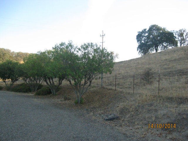 7142 South Burson Road Valley Springs, CA 95252 - Photo 7 of 16 Gallery Image 7