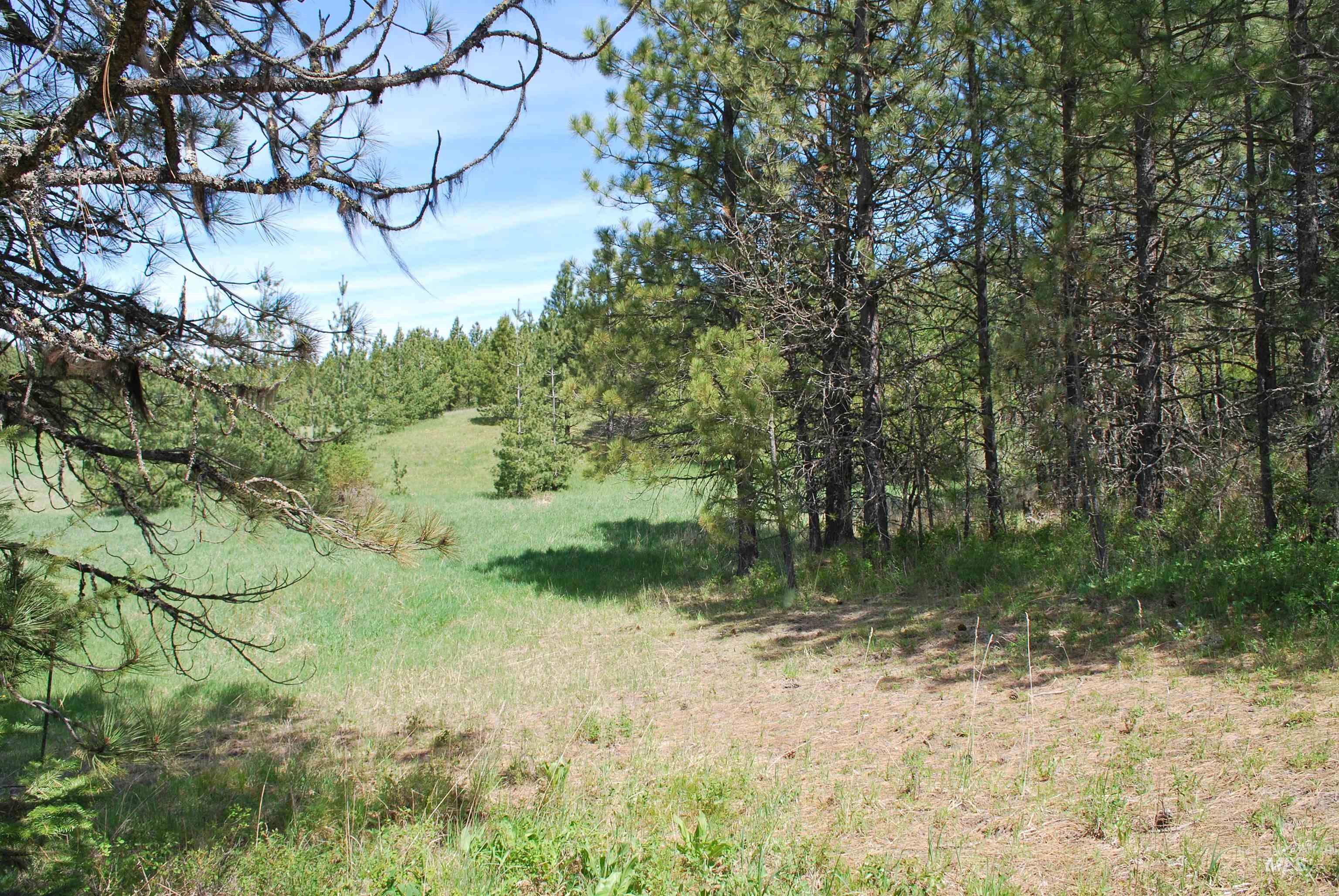 4975 Middle Road Ahsahka, ID 83520 - Photo 24 of 44