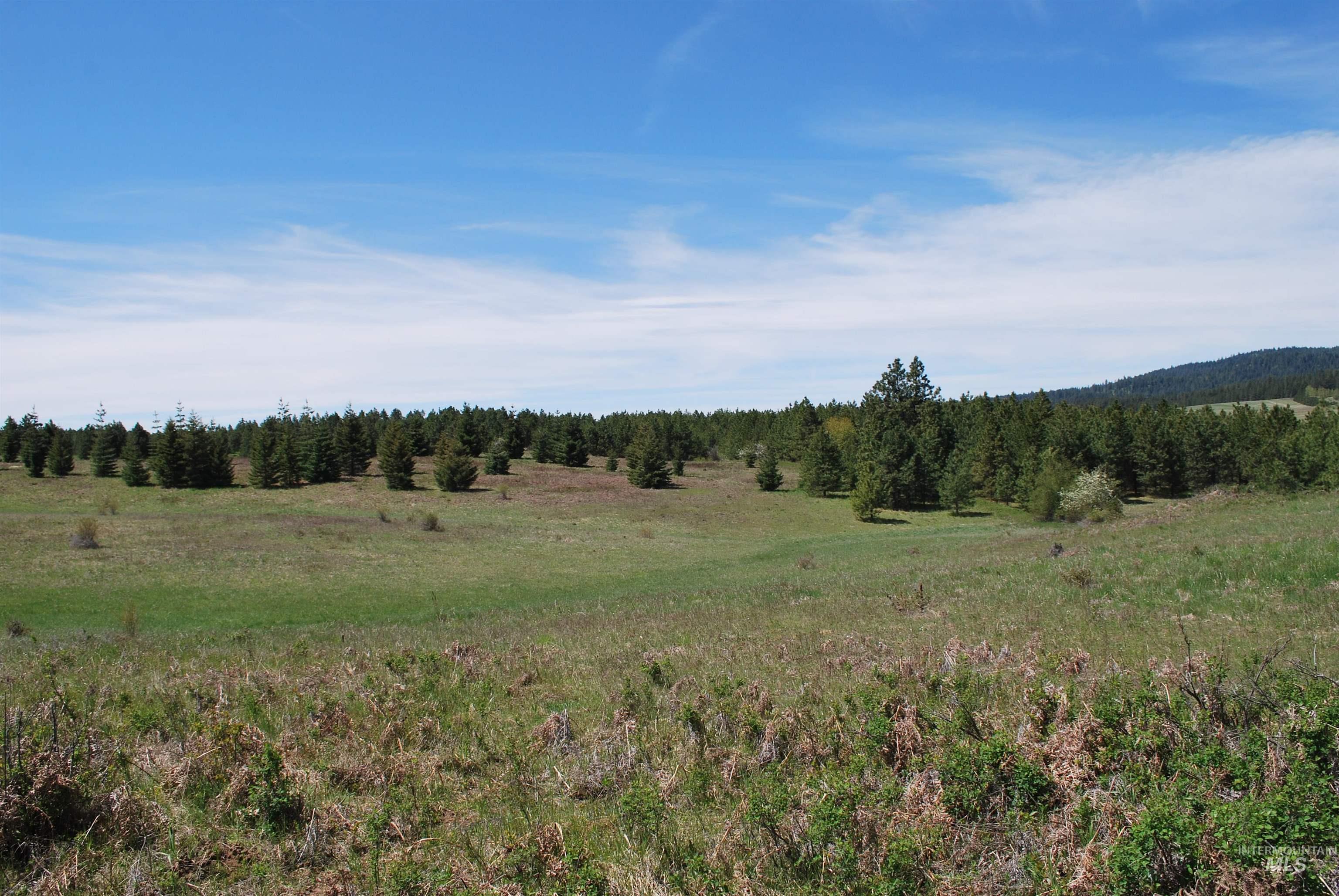 4975 Middle Road Ahsahka, ID 83520 - Photo 26 of 44