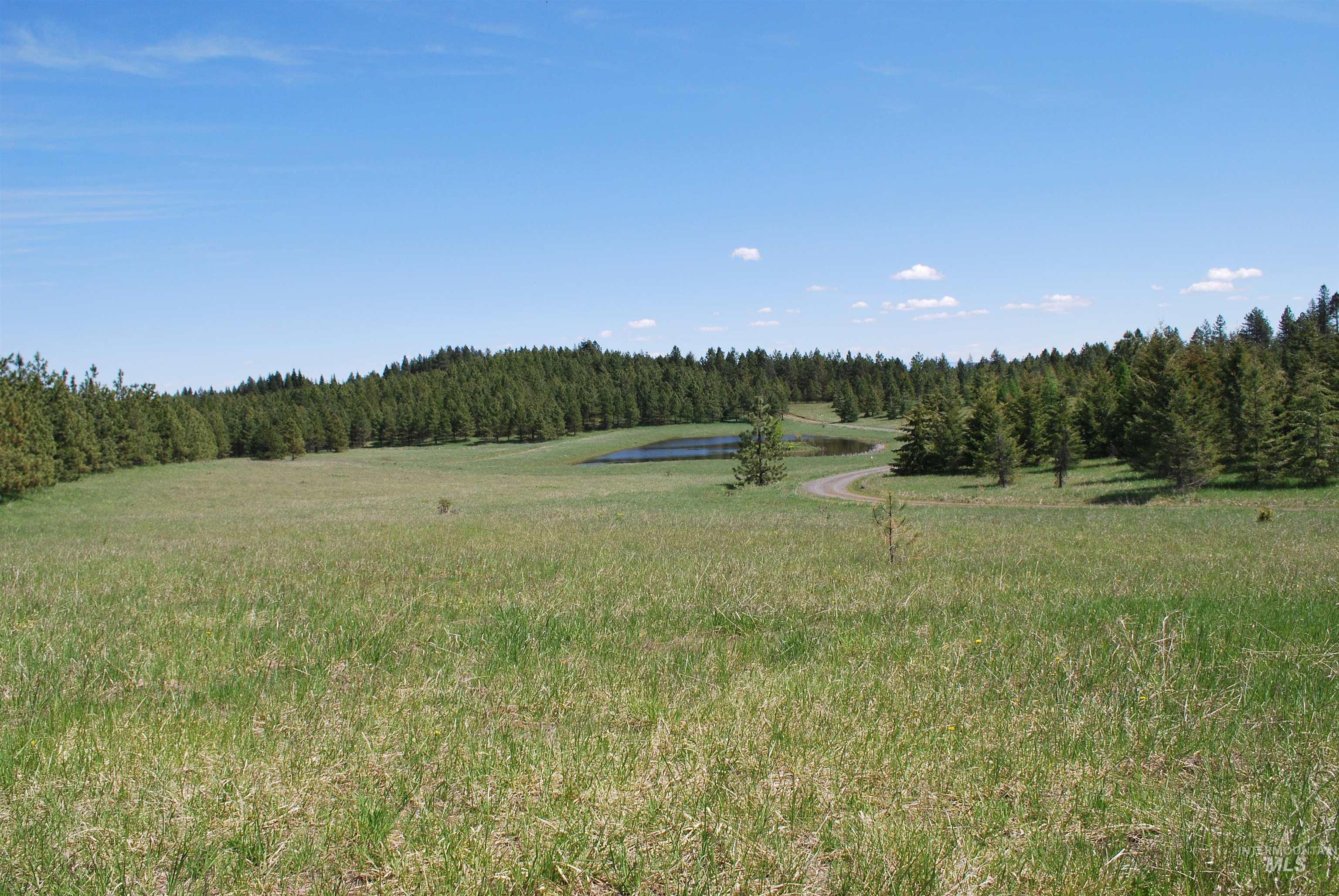 4975 Middle Road Ahsahka, ID 83520 - Photo 32 of 44