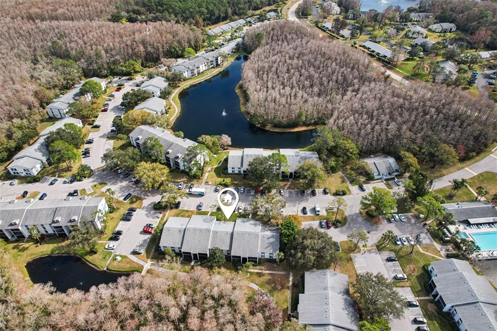 1290 Pine Ridge Circle East, Unit F2 Tarpon Springs, FL 34688 - Photo 53 of 65