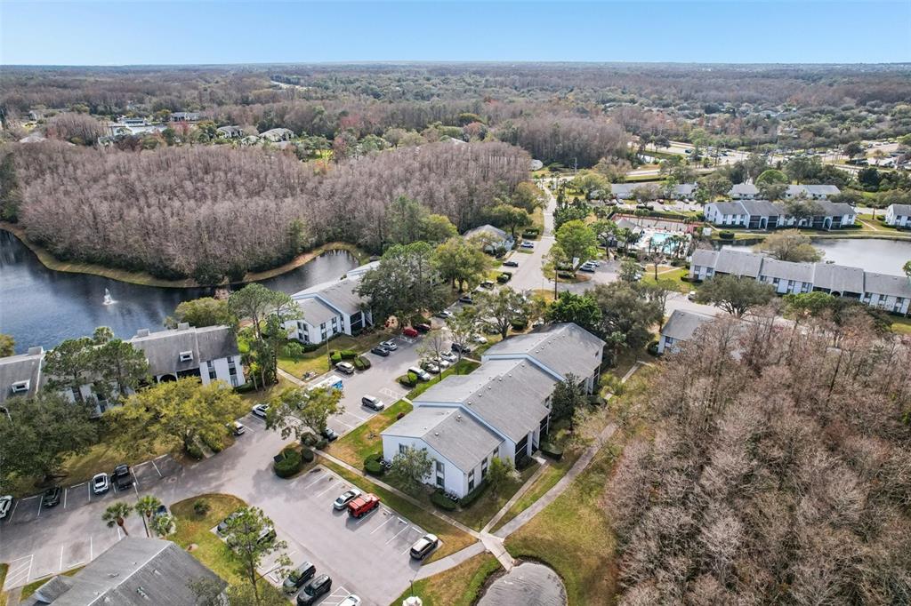 1290 Pine Ridge Circle East, Unit F2 Tarpon Springs, FL 34688 - Photo 55 of 65