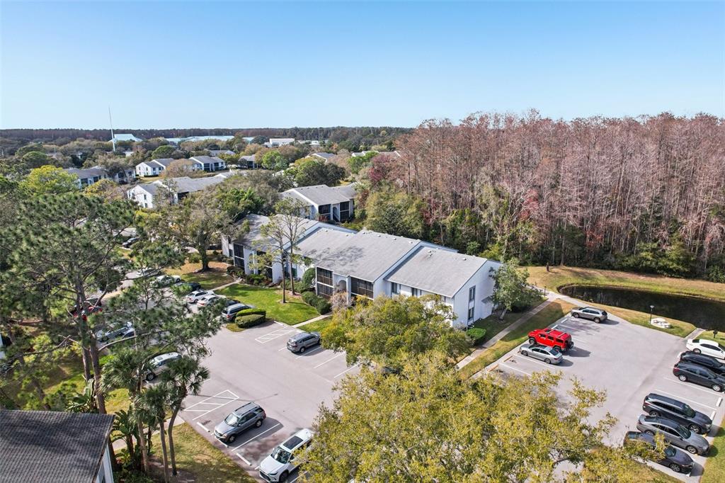 1290 Pine Ridge Circle East, Unit F2 Tarpon Springs, FL 34688 - Photo 56 of 65