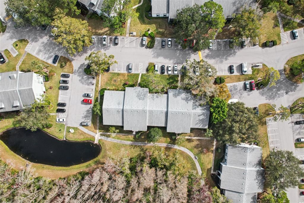 1290 Pine Ridge Circle East, Unit F2 Tarpon Springs, FL 34688 - Photo 57 of 65