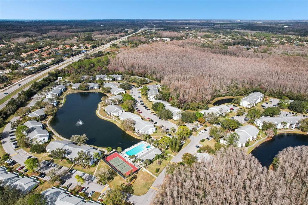 1290 Pine Ridge Circle East, Unit F2 Tarpon Springs, FL 34688 - Photo 63 of 65