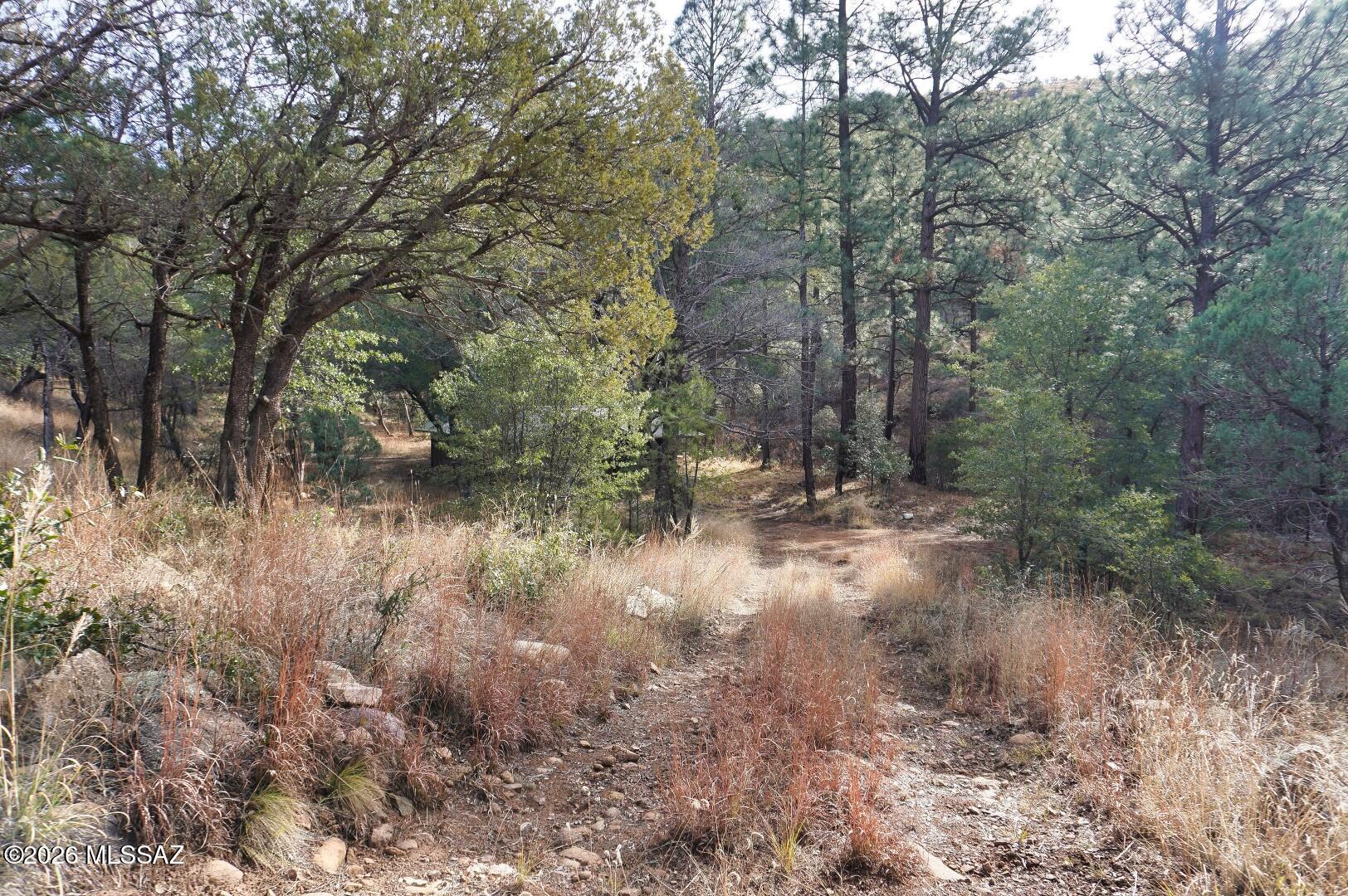 13223 East Turkey Creek Road Pearce, AZ 85625 - Photo 40 of 49