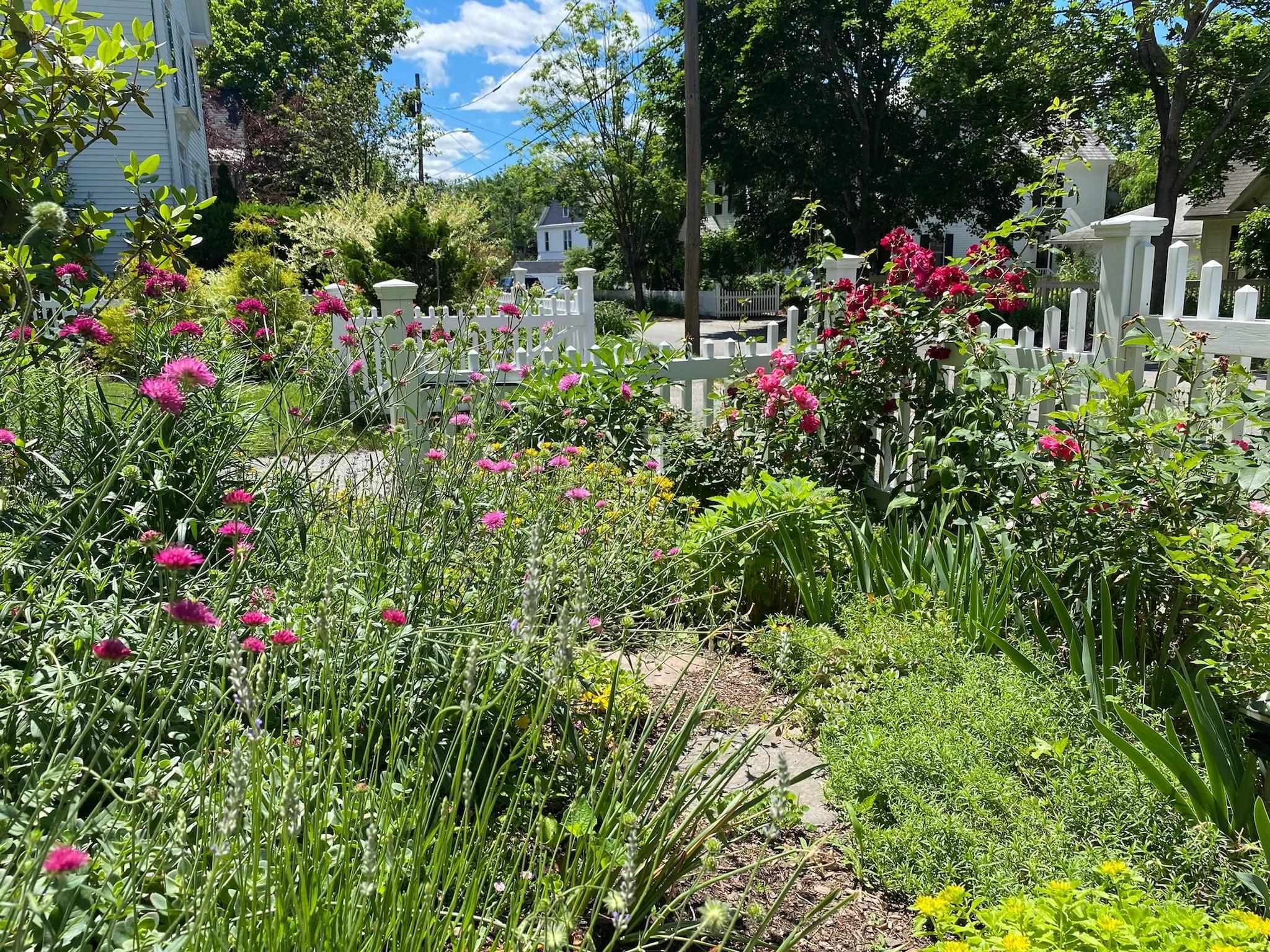 29 Grant Street Keene, NH 03431 - Photo 51 of 60