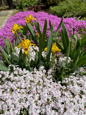 $487,500 | 29 Grant Street, Keene, NH 03431