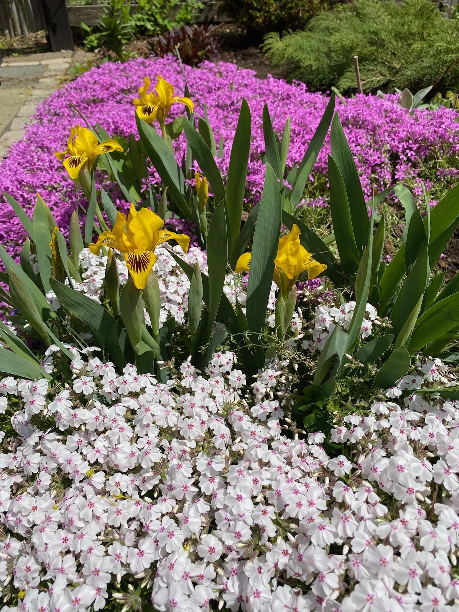 29 Grant Street Keene, NH 03431 - Photo 52 of 60