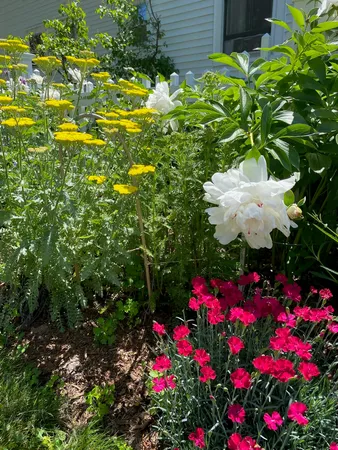 $487,500 | 29 Grant Street, Keene, NH 03431