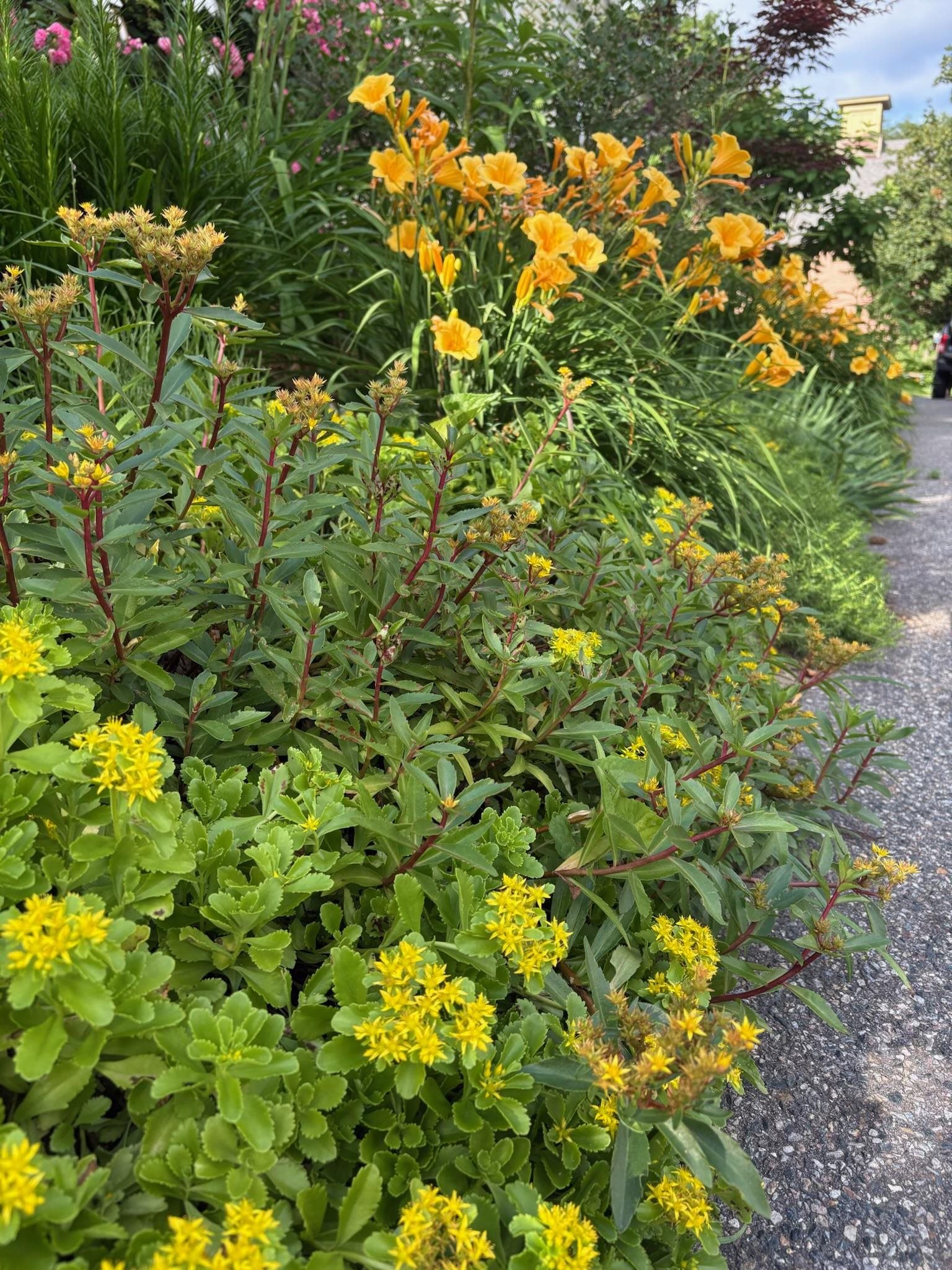 29 Grant Street Keene, NH 03431 - Photo 55 of 60