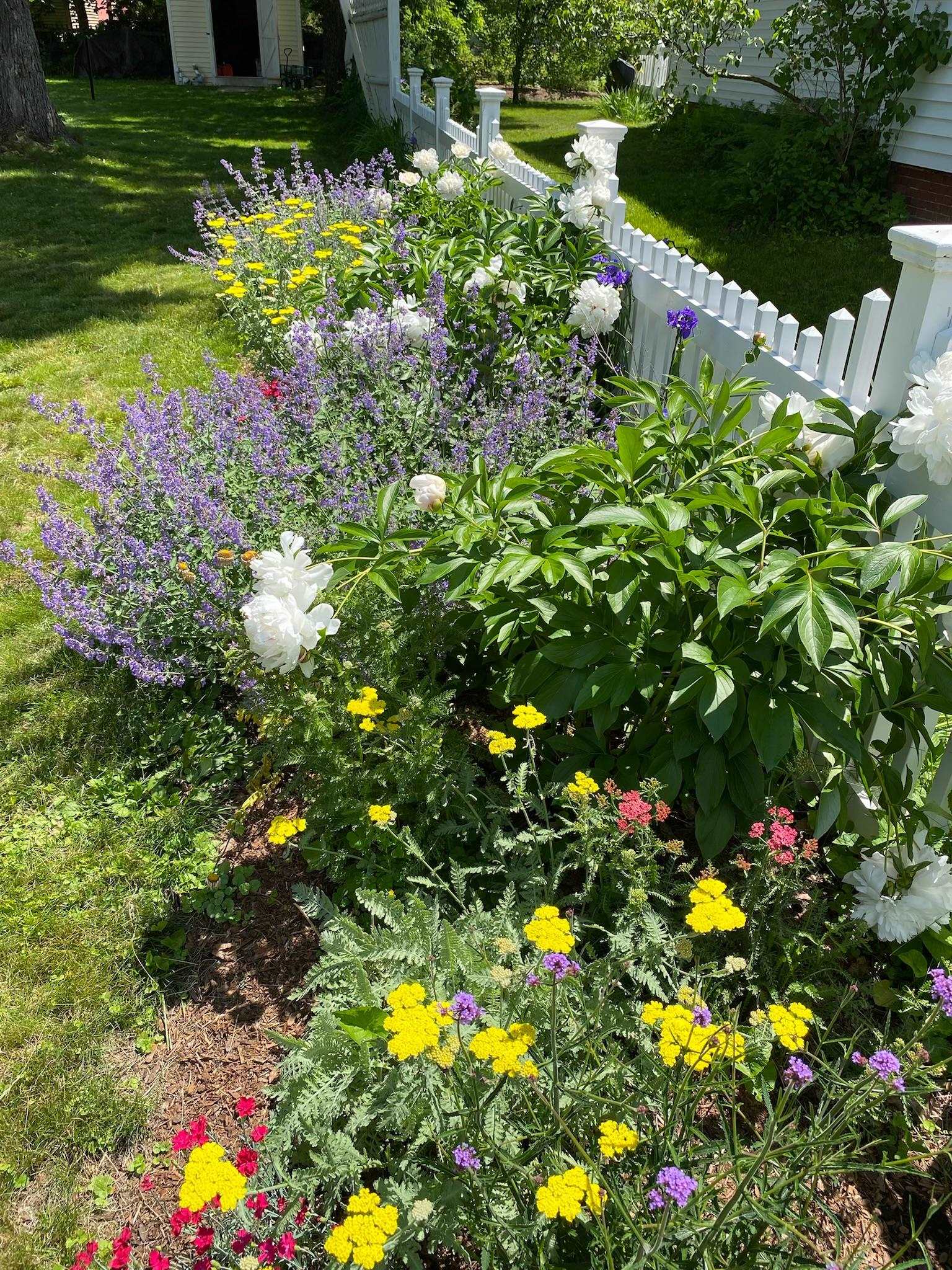 29 Grant Street Keene, NH 03431 - Photo 58 of 60