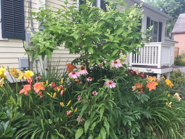 $487,500 | 29 Grant Street, Keene, NH 03431