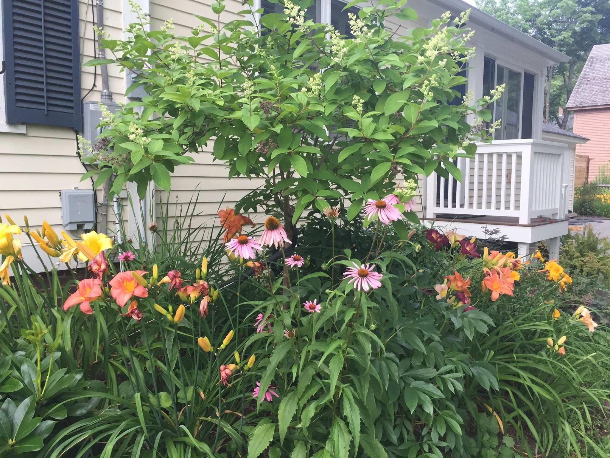 29 Grant Street Keene, NH 03431 - Photo 6 of 60