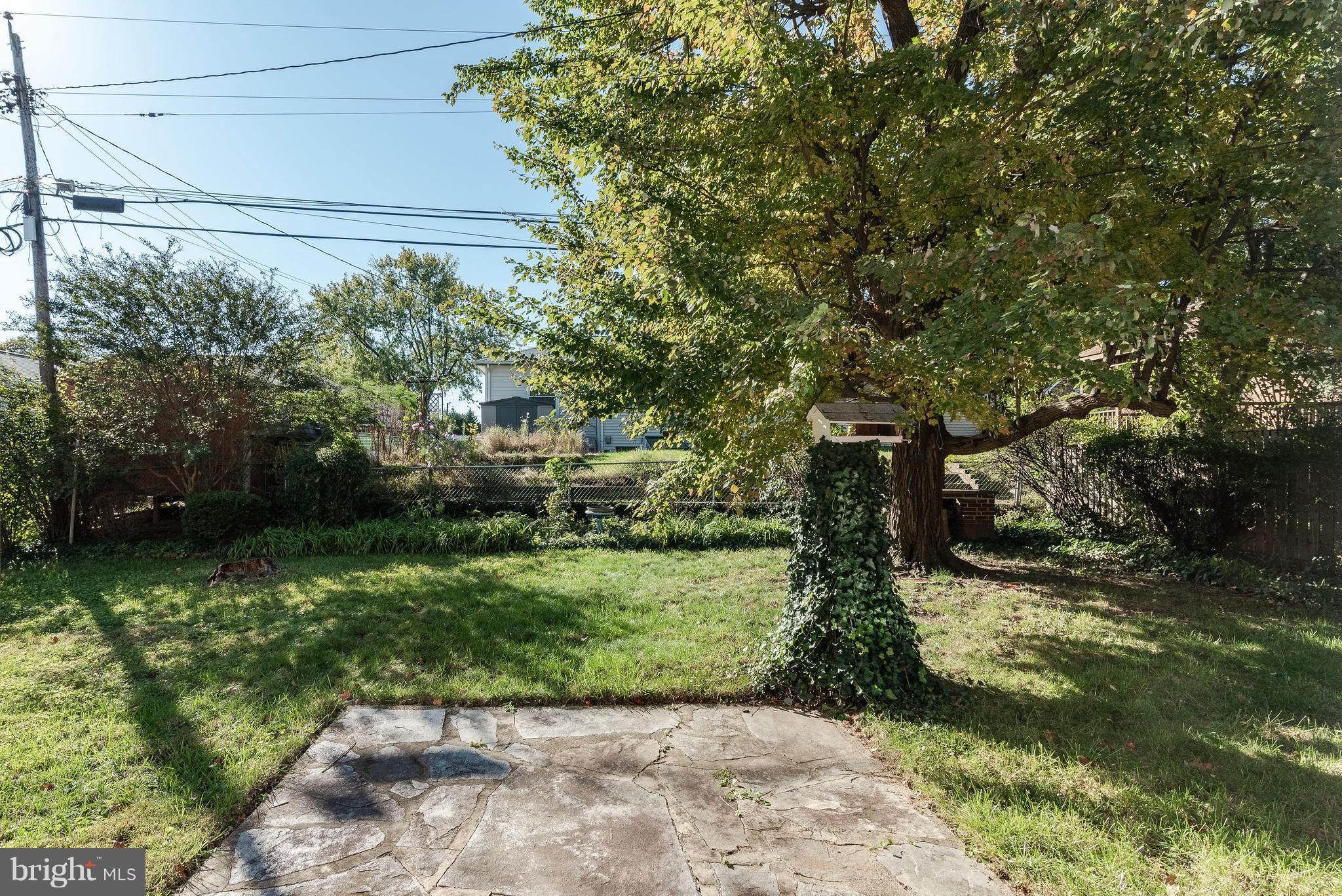 509 Forest View Road Linthicum Heights, MD 21090 - Photo 40 of 44 Backyard