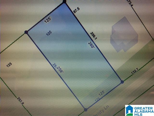 151 Christy Lane, Unit 6 Oneonta, AL 35121 - Photo 3 of 3