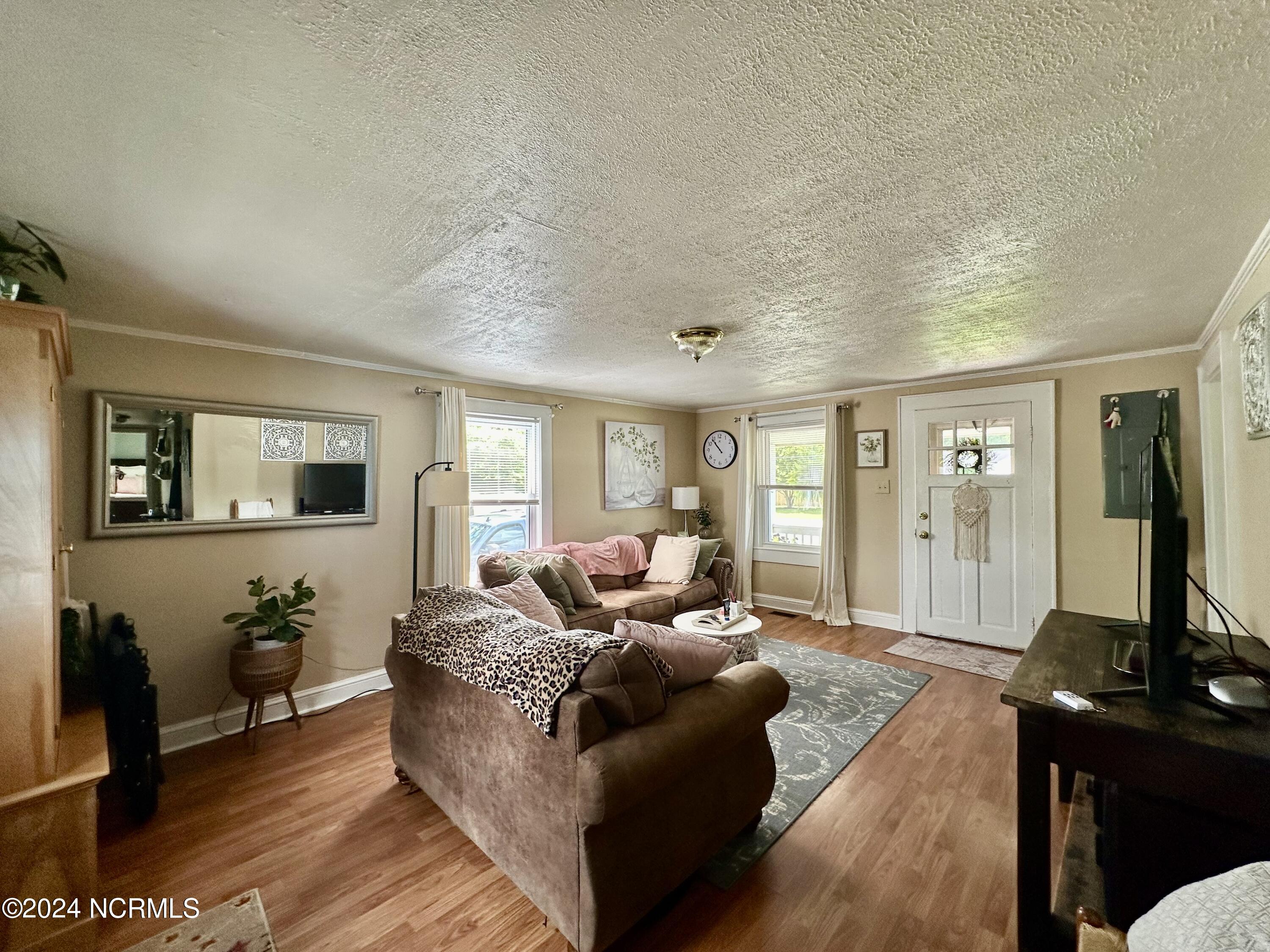 148 Mexico Road Edenton, NC 27932 - Photo 4 of 21 Living room w front door in view