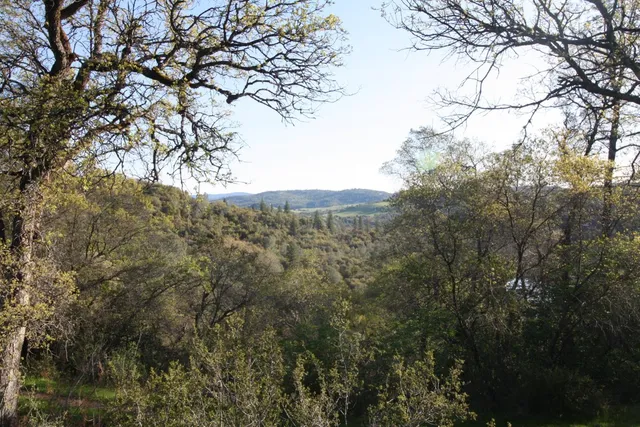 a view of mountain view with lots of trees