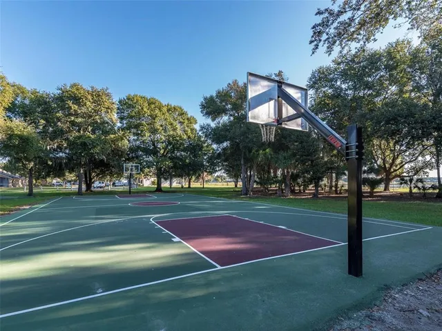 a view of a park with large trees