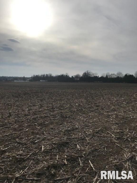 0 West Cruger Road Washington, IL 61571 - Photo 3 of 6